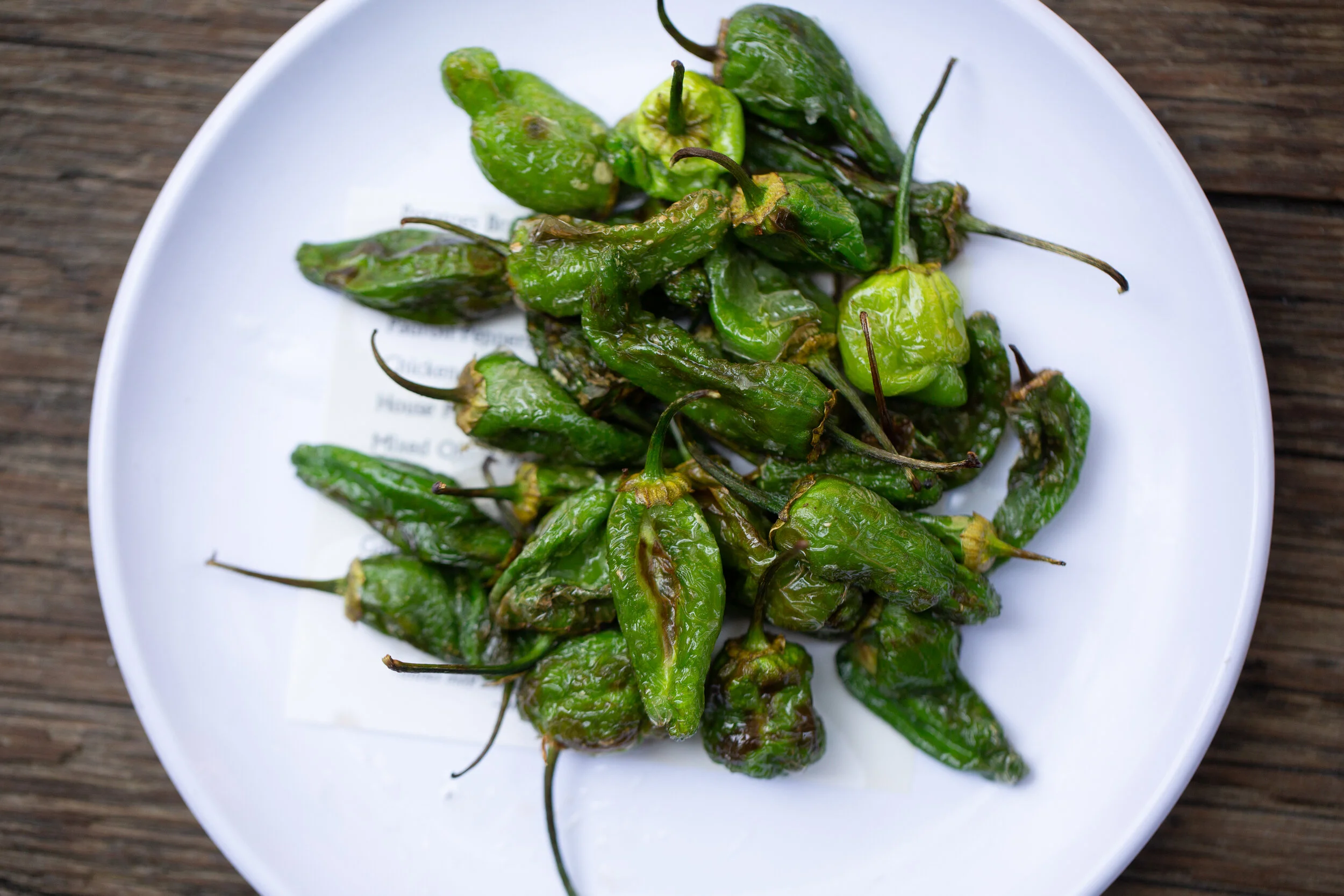 Blistered padrón peppers